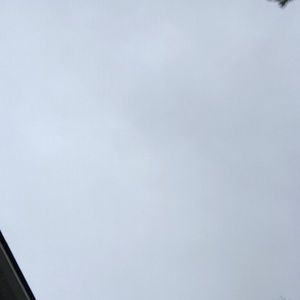 Meet your Posher, Charles